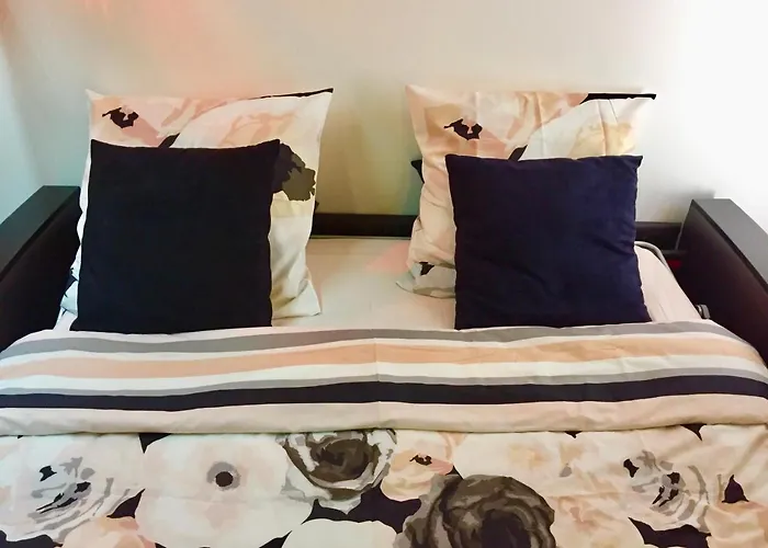 Apartment Design & Comfortable