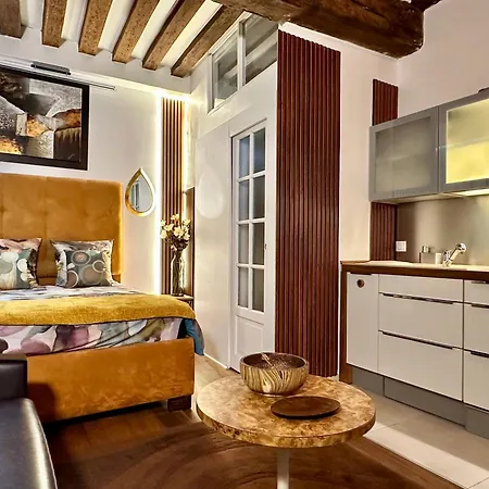 Apartment Design By Kenzo Near Notre Dame *